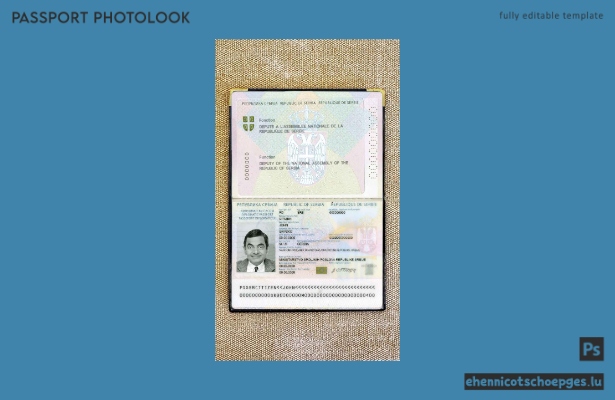 Beispielansicht eines Fotos im serbischen Diplomatenpass 2008–2016